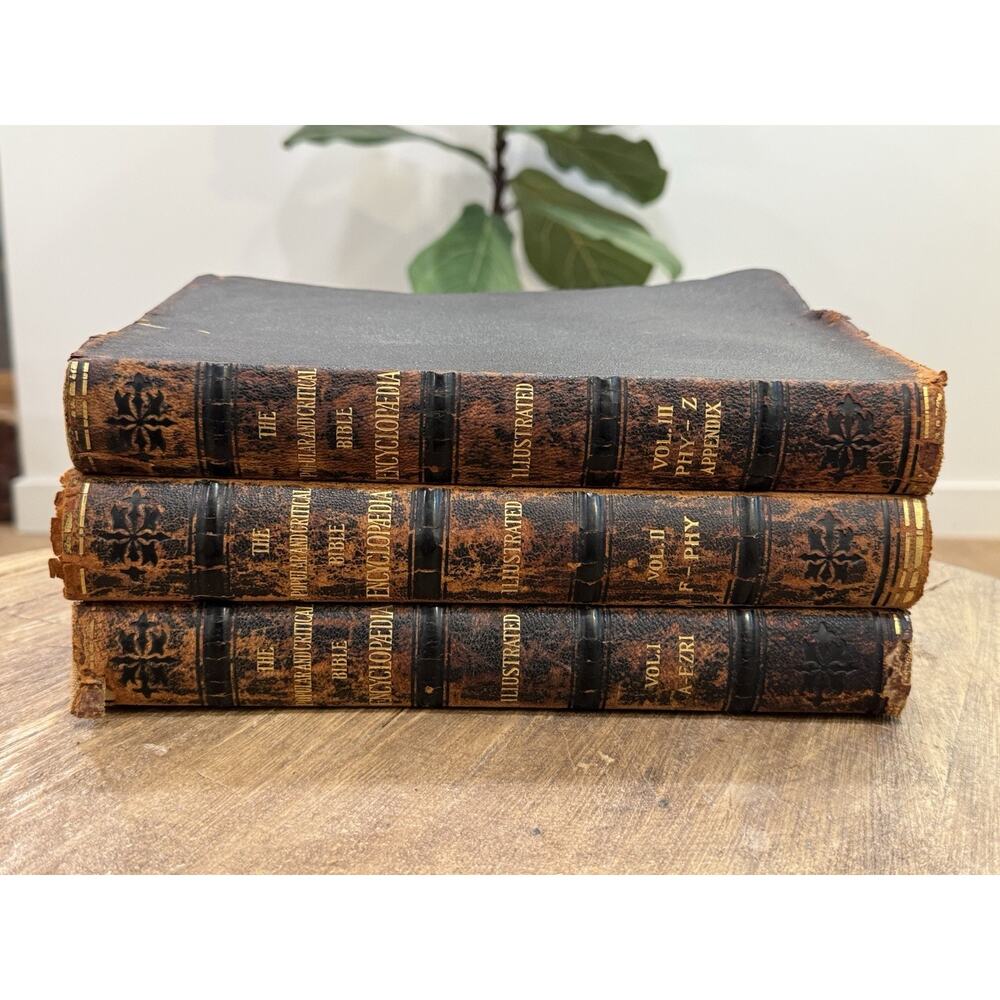 Popular And Critical Bible Encyclopedia Vol I-III Antique Samuel Fallows 1916